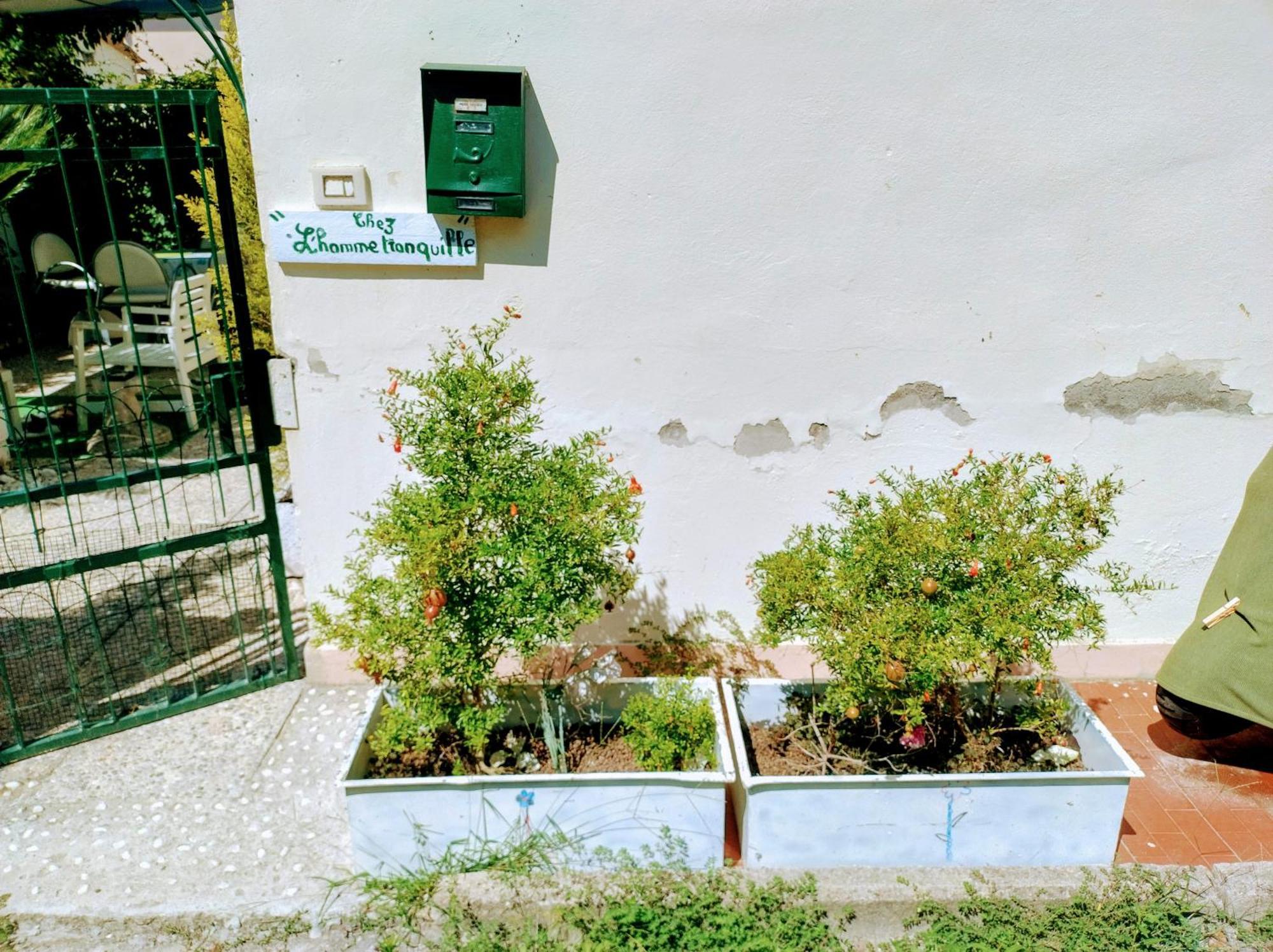 Apartament Chez L'Homme Tranquille Arena Metato Zewnętrze zdjęcie